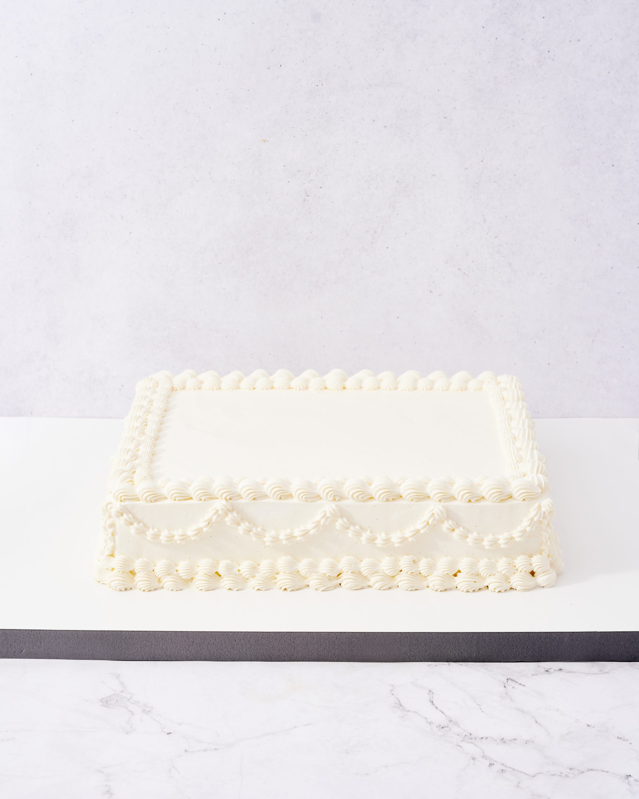 20250122_UMAM_TORTY0046