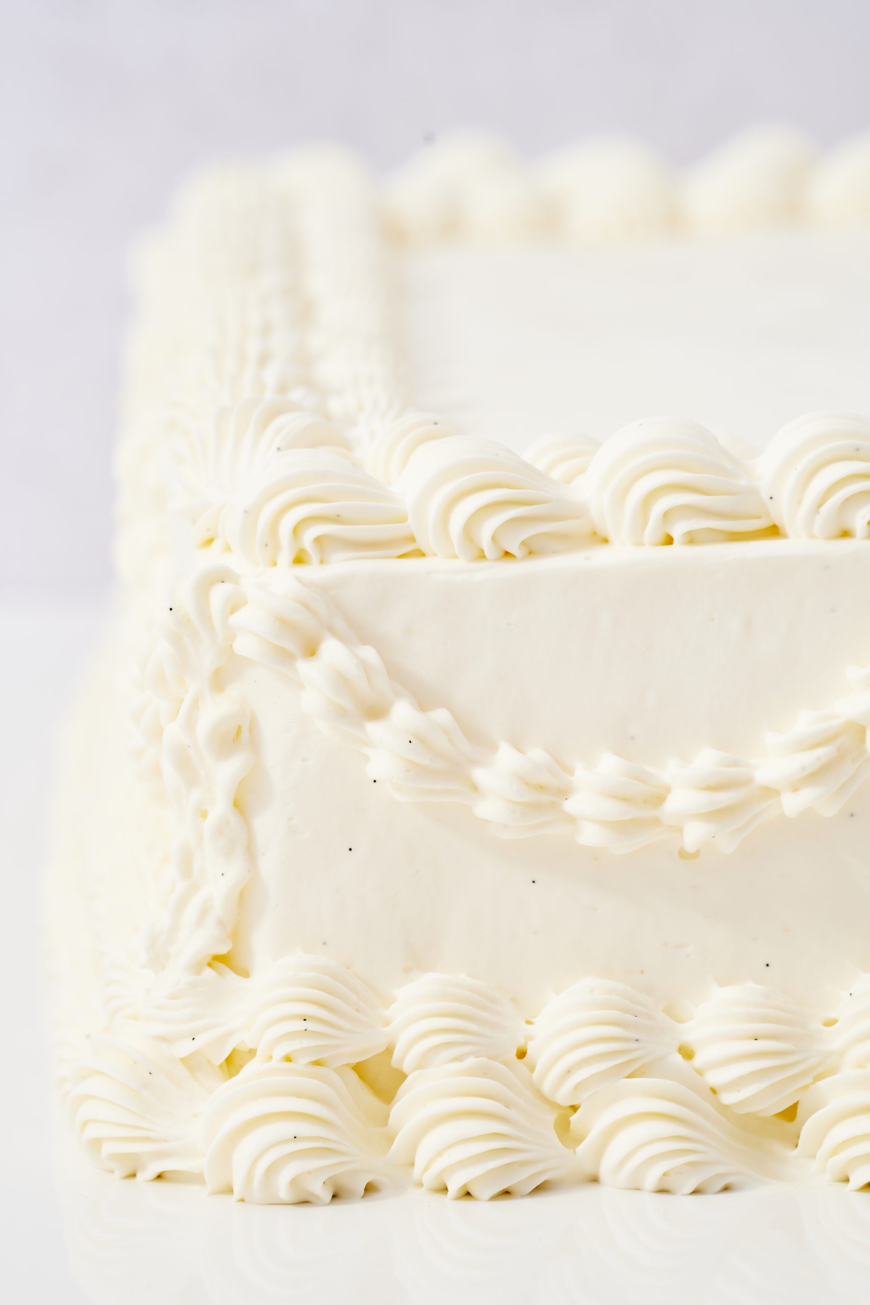 20250122_UMAM_TORTY0055