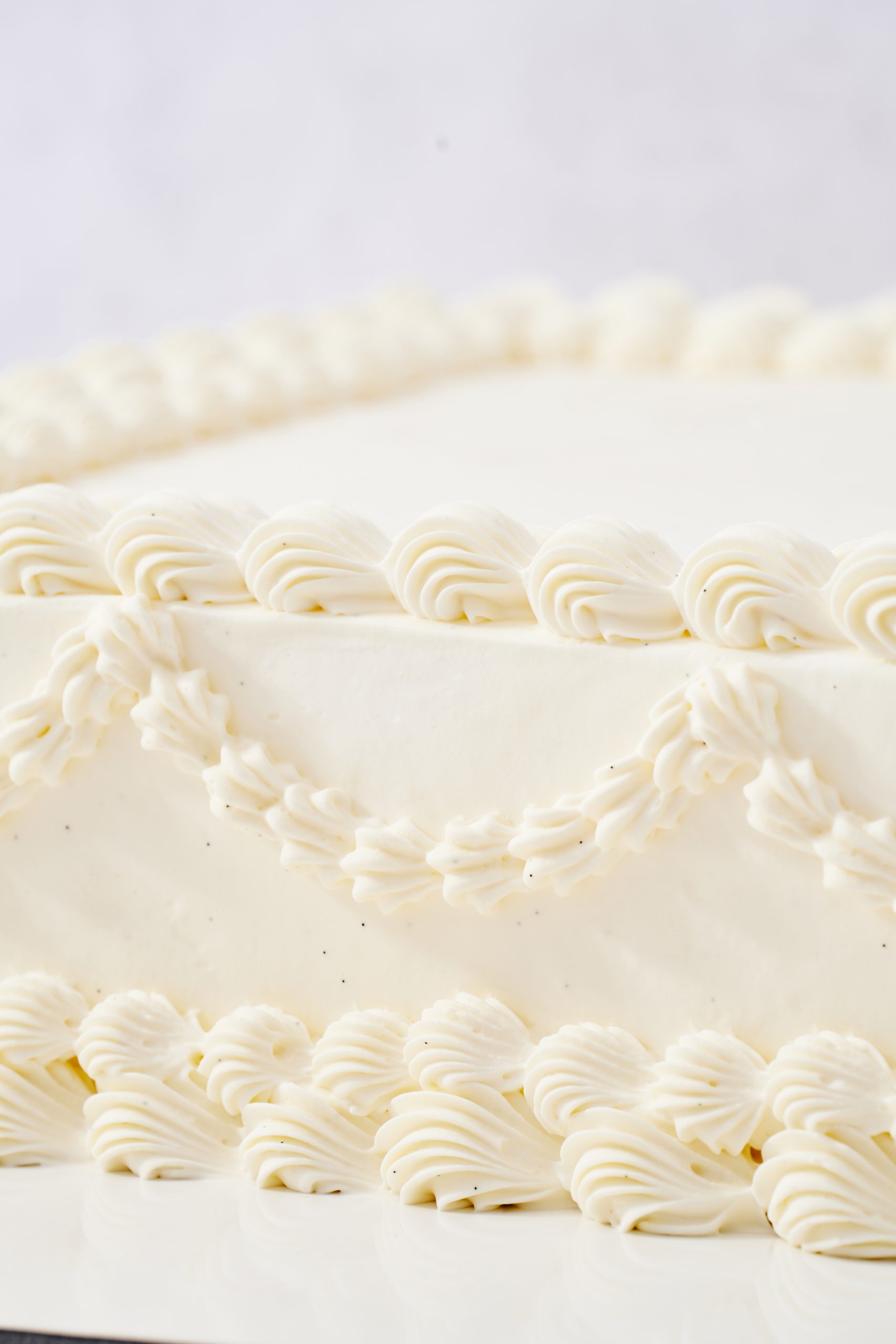 20250122_UMAM_TORTY0057