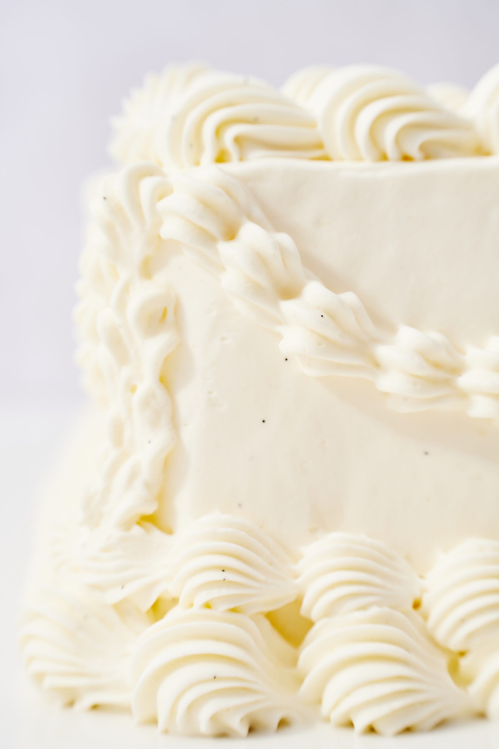 20250122_UMAM_TORTY0066