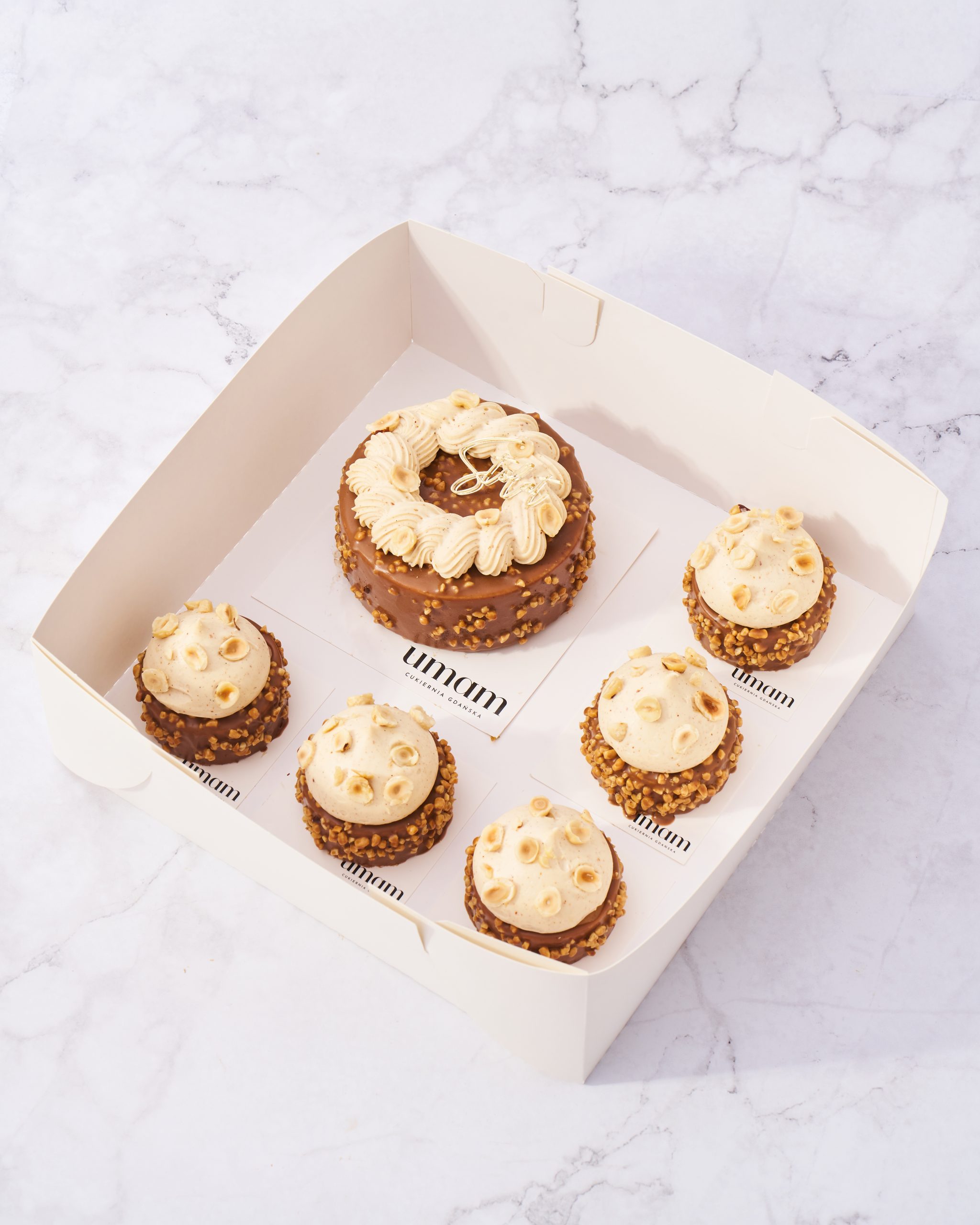 20250122_UMAM_TORTY0429