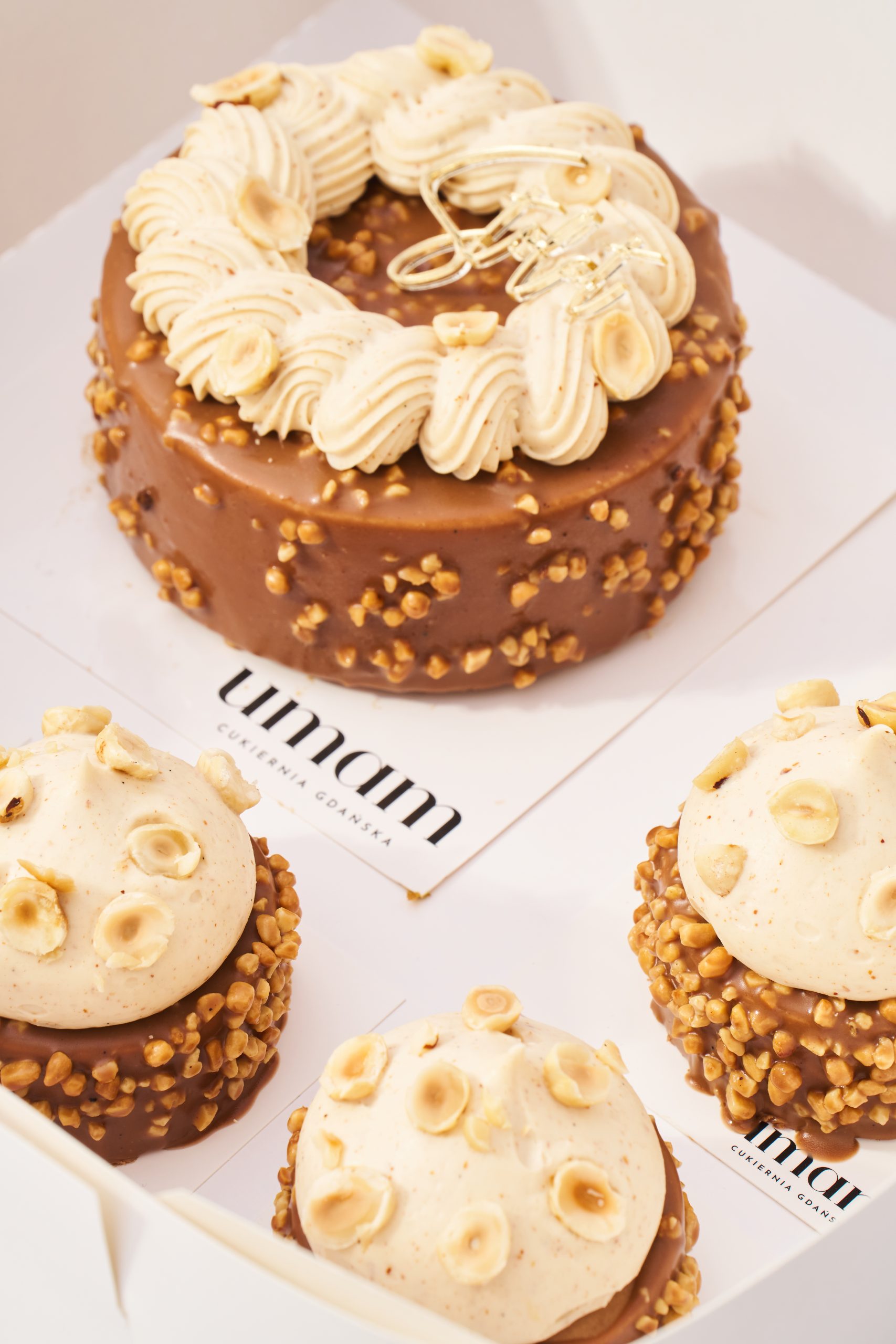 20250122_UMAM_TORTY0430